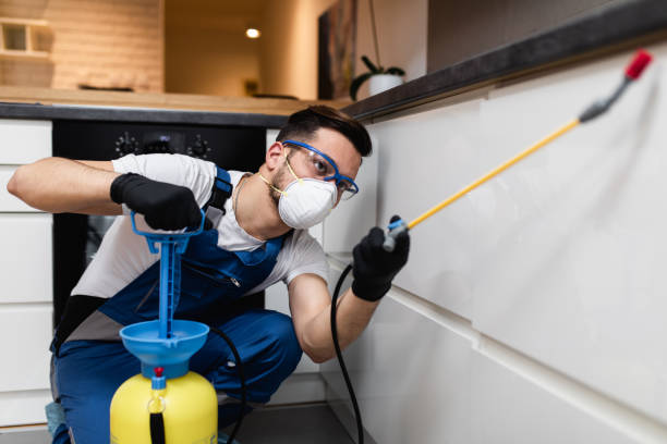 Pest Prevention Services in Clovis, NM