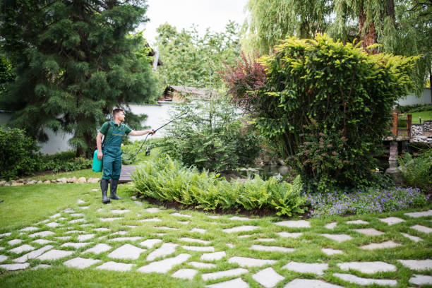 Best Best Pest Control Companies  in Clovis, NM