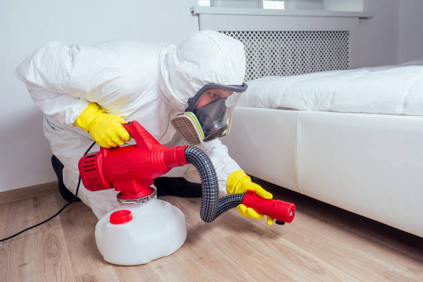 Best Flea Control Services  in Clovis, NM