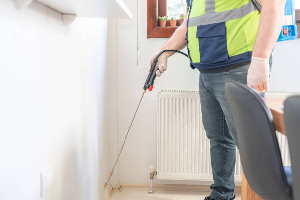 Best Pest Control Near Me in Clovis, NM