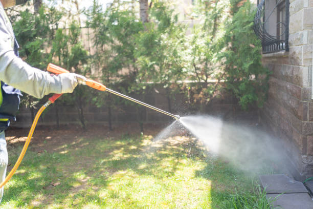 Best Mosquito Control Services  in Clovis, NM