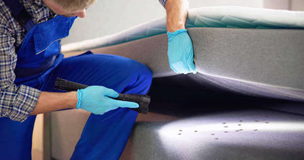 Best Termite Control Services  in Clovis, NM